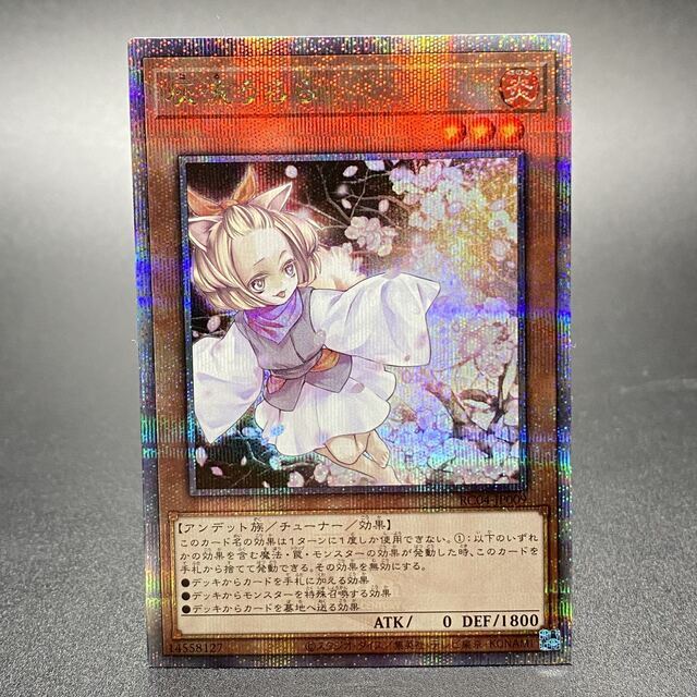 遊戯王 灰流うらら 25thシークレット 自引き 美品