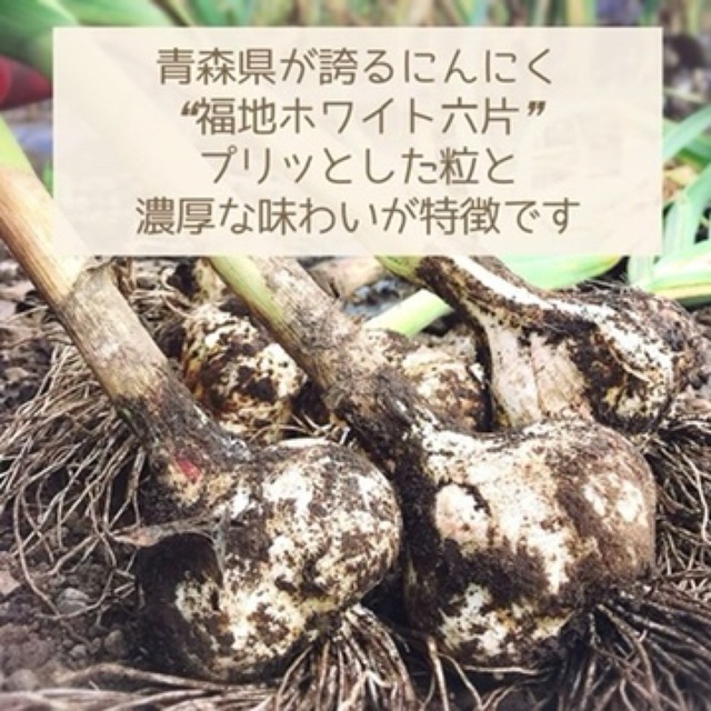 ★下処理ラクラク★ 2022年産　青森県田子町産にんにく500g 食品/飲料/酒の食品(野菜)の商品写真