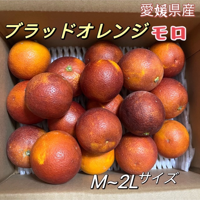 ブラッドオレンジ　愛媛県産　約2kg  大きさおまかせ　モロオレンジ　柑橘 食品/飲料/酒の食品(フルーツ)の商品写真