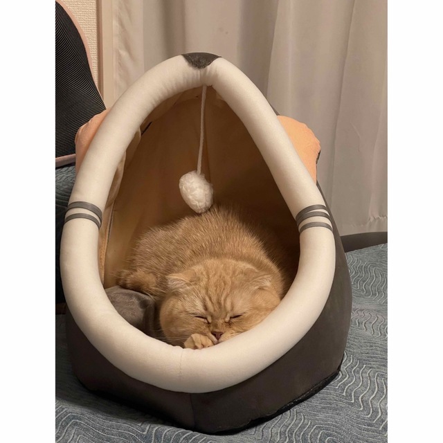 猫ハウス ペットハウス 猫用ベッド   ピンク耳　Mサイズ その他のペット用品(猫)の商品写真