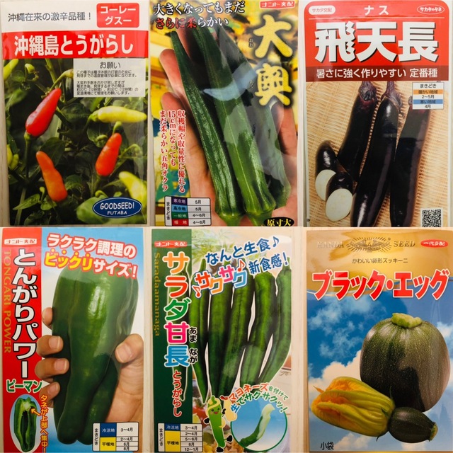 野菜の種　4種セット 食品/飲料/酒の食品(野菜)の商品写真