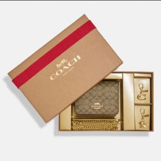 コーチ(COACH)の【日本未発売】Coach コーチ レザー チェーン ミニ ショルダーバッグ(ハンドバッグ)