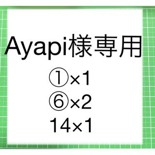 Ayapi様専用(各種パーツ)