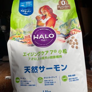 ハロー ペット用品の通販 11点 | HAROのその他を買うならラクマ