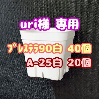 【スリット鉢】プレステラ90白40個 他 多肉植物 プラ鉢(プランター)