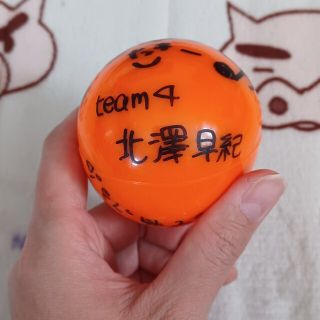 team４北澤早紀さんサインボール(アイドルグッズ)