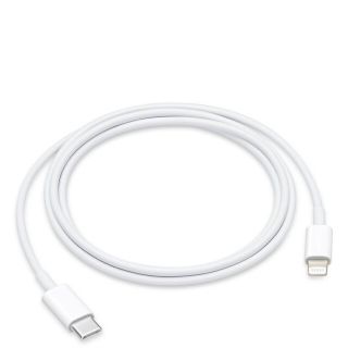 アップル(Apple)のAppel 純正品 アップル Lightning to C 2m(バッテリー/充電器)