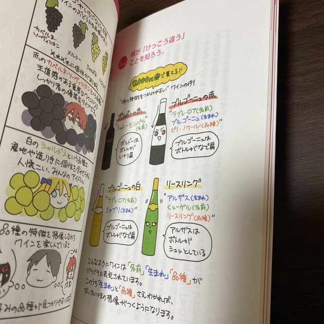 図解ワイン一年生 エンタメ/ホビーの本(料理/グルメ)の商品写真