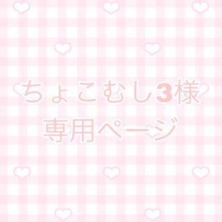 ちょこむし3様専用ページ(その他)