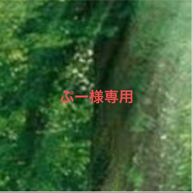 ぷー様専用ページ その他のその他(その他)の商品写真