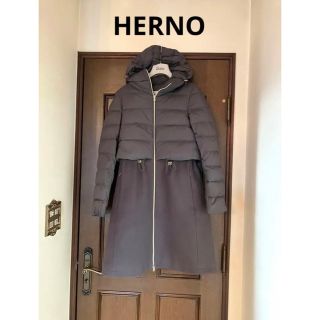 HERNO ヘルノ コンビ フードダウンコート 異素材ダウン グレージュ 40