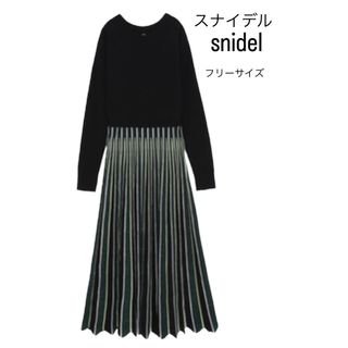 スナイデル(SNIDEL)のsnidel ワンピース 秋 冬 プリーツスカート(ロングワンピース/マキシワンピース)