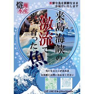 来島海峡詰め合わせ！(魚介)