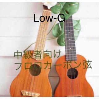 Low-G ウクレレ弦 フロロカーボン 日本製 中級者様限定　1台分(その他)