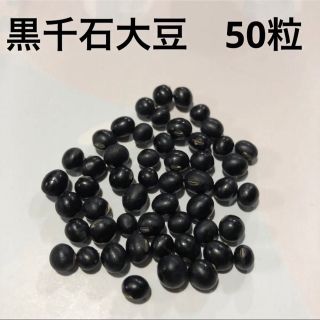 黒千石大豆　黒豆　種　50粒(野菜)