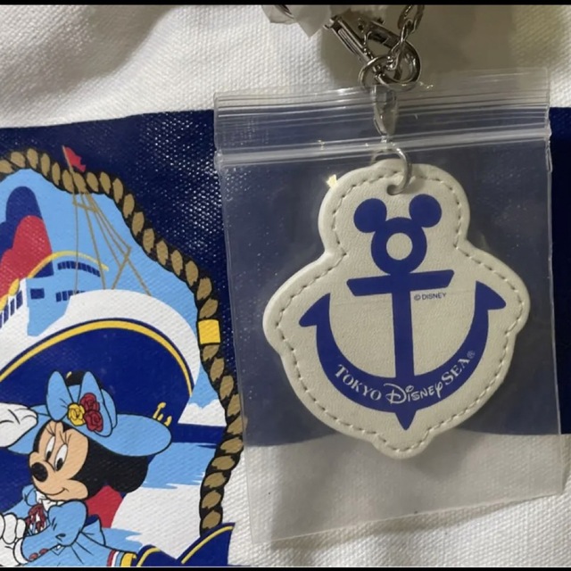 Disney(ディズニー)のディズニーバッグ　非売品 レディースのバッグ(トートバッグ)の商品写真