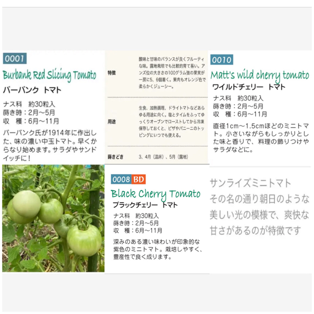 森のくまさん様専用ページ　トマトの種 食品/飲料/酒の食品(野菜)の商品写真