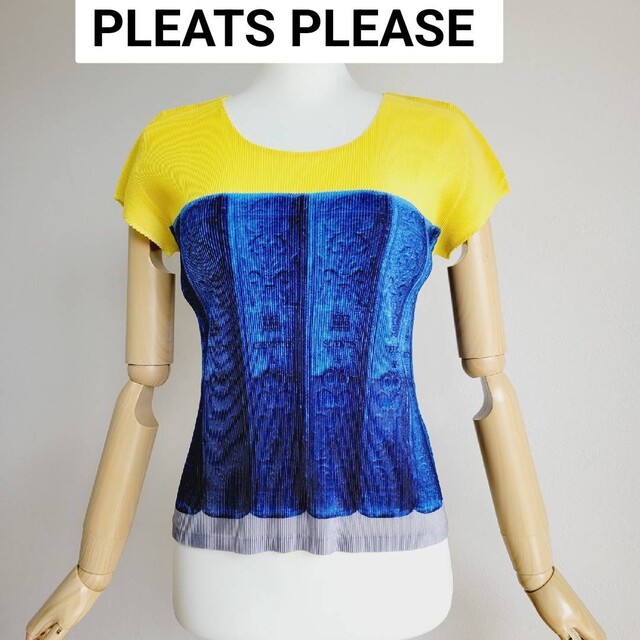 PLEATS PLEASE ISSEY MIYAKE(プリーツプリーズイッセイミヤケ)の【極美品】プリーツプリーズ　イッセイミヤケ　 ブック　カットソー　サイズ3 レディースのトップス(カットソー(半袖/袖なし))の商品写真