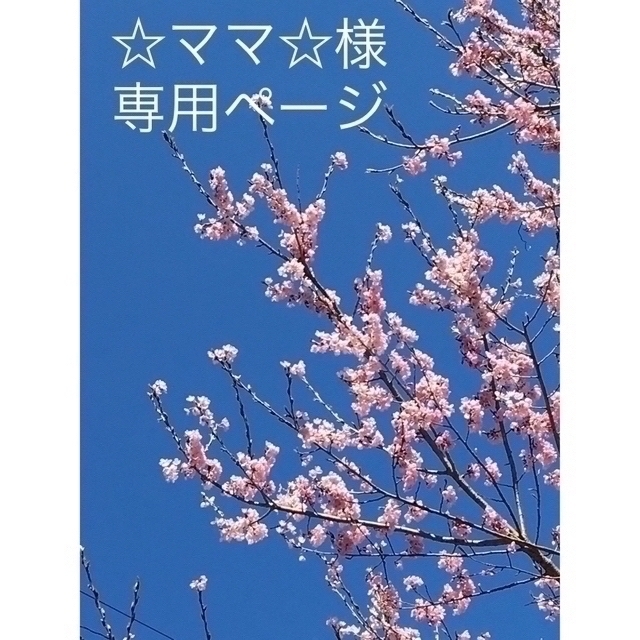 ☆ママ☆様専用ページ | フリマアプリ ラクマ