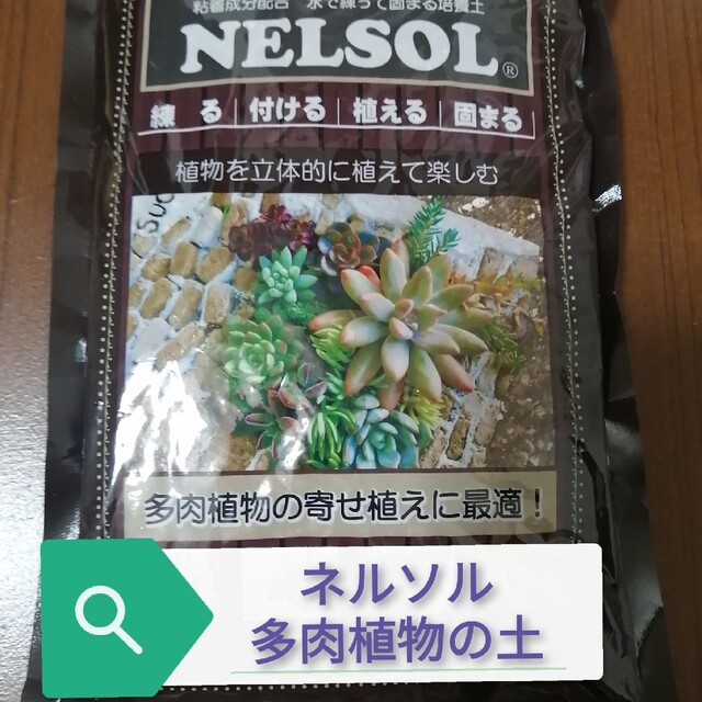 ネルソル多肉植物寄せ植え用の土 ハンドメイドのフラワー/ガーデン(プランター)の商品写真