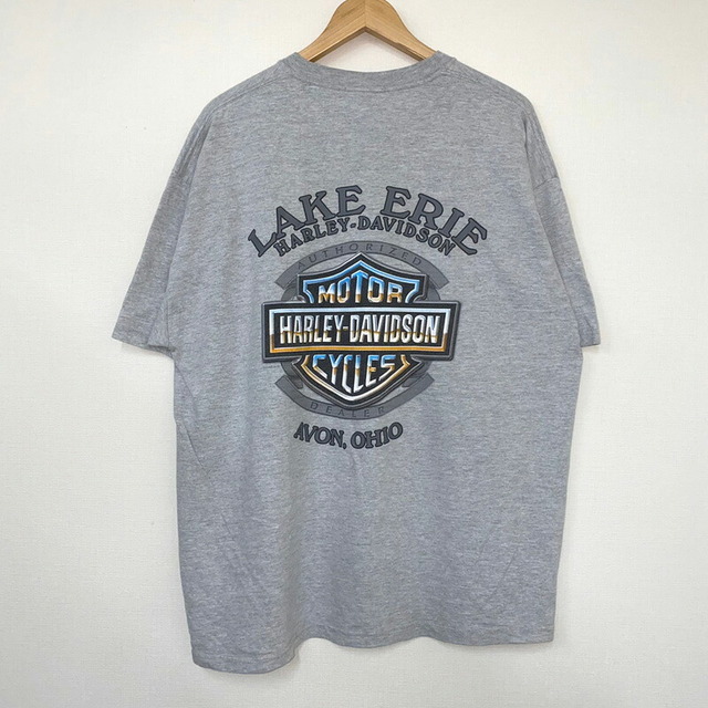 Hurley(ハーレー)のハーレーダビットソン HARLEY-DAVIDSON Tシャツ 半袖 ポケT 両面 プリント MADE IN USA サイズ：XL グレー×ブルー×イエロー 【中古】 メンズのトップス(Tシャツ/カットソー(半袖/袖なし))の商品写真