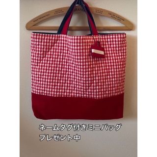 ハンドメイド レッスンバッグ19/裏地付き/マチ有り/リバーシブル/1点もの(バッグ/レッスンバッグ)