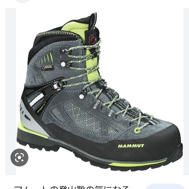 Mammut(マムート)のMAMMUT　登山靴　ハイカット　25㎝ スポーツ/アウトドアのアウトドア(登山用品)の商品写真