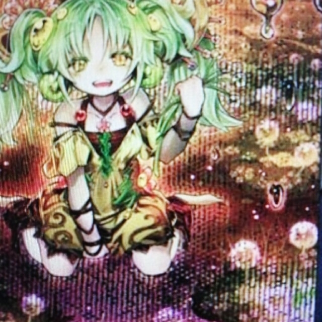 遊戯王カード超レアエラーセラの蟲惑魔 遊戯王カード超レアエラーセラの蟲惑魔