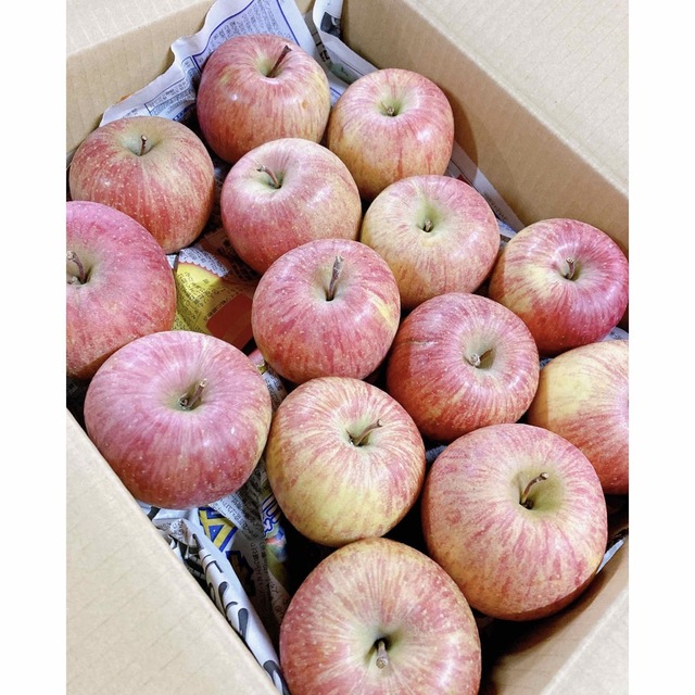 2月26日発送。会津の樹上葉取らず家庭用リンゴ約38個入り 食品/飲料/酒の食品(フルーツ)の商品写真