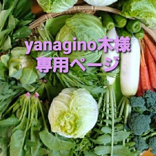 yanagino木様専用ページです(野菜)