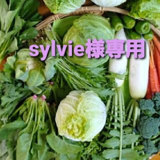 sylvie様専用ページです(野菜)