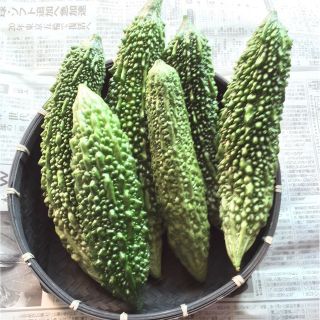 宮古島産ゴーヤー(6本)(野菜)