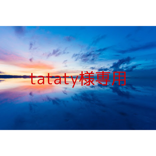 tataty3 マキシ16本