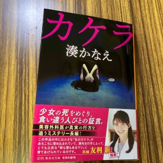 湊かなえ　カケラ(文学/小説)