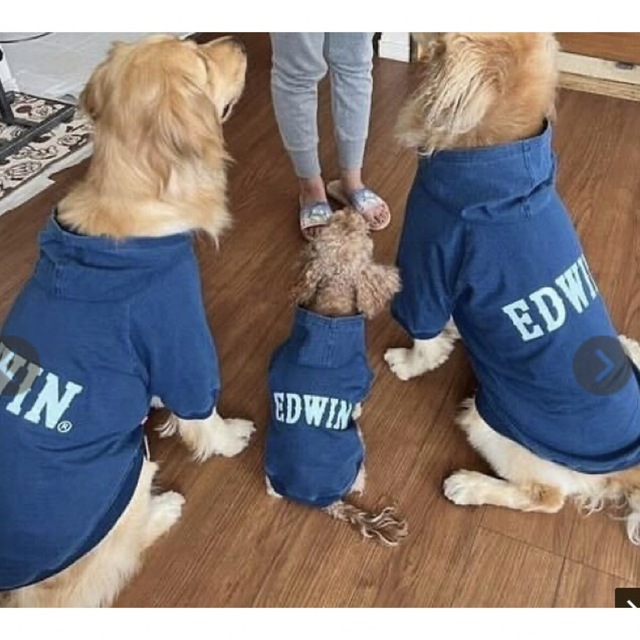 EDWIN(エドウィン)のエドウィン EDWIN デニムパーカー　3L その他のペット用品(犬)の商品写真