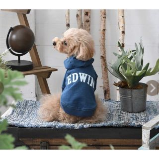 エドウィン(EDWIN)のエドウィン EDWIN デニムパーカー　3L(犬)