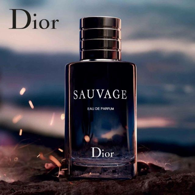 値引 ディオール DIOR ソヴァージュ EDP SP 100ml ad-naturam.fr