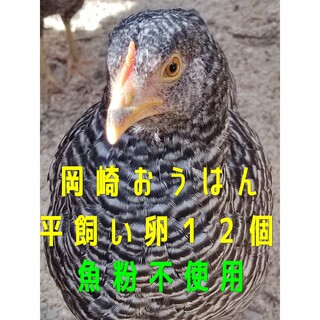 岡崎おうはん　平飼い卵　12個　魚粉不使用(その他)