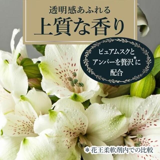 フレア フレグランスIROKA柔軟剤ネイキッドリリーの香り 詰替え1.5倍＊5袋 インテリア/住まい/日用品の日用品/生活雑貨/旅行(洗剤/柔軟剤)の商品写真