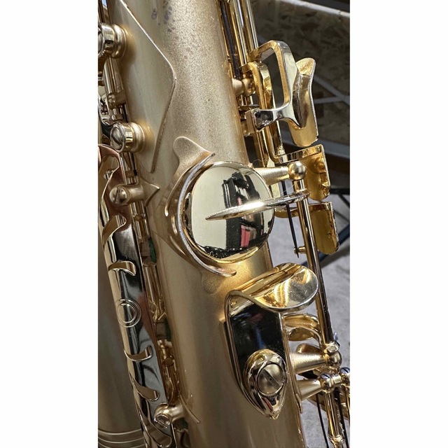 Cadson Alto Saxophone A902SG 楽器の管楽器(サックス)の商品写真