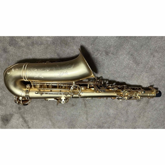 Cadson Alto Saxophone A902SG 楽器の管楽器(サックス)の商品写真