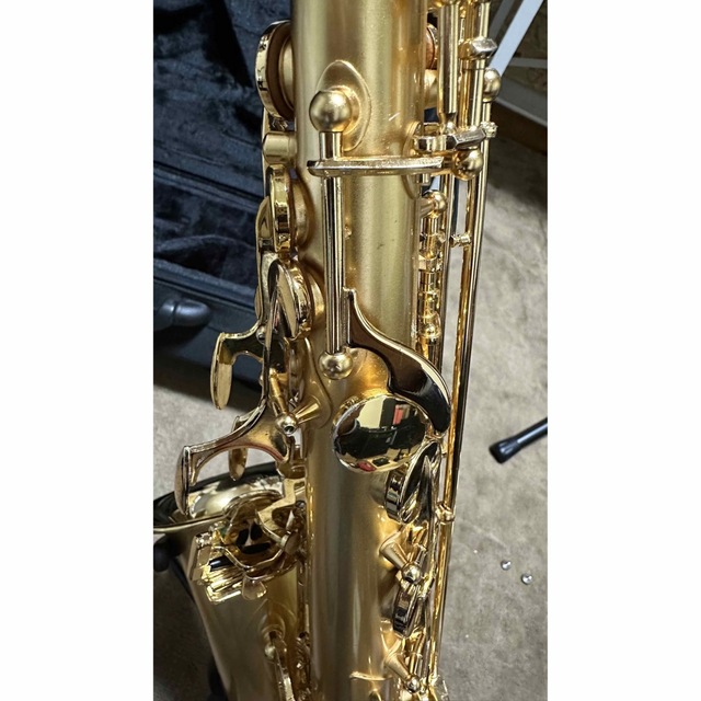 Cadson Alto Saxophone A902SG 楽器の管楽器(サックス)の商品写真