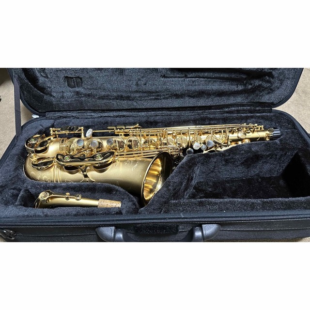 Cadson Alto Saxophone A902SG 楽器の管楽器(サックス)の商品写真