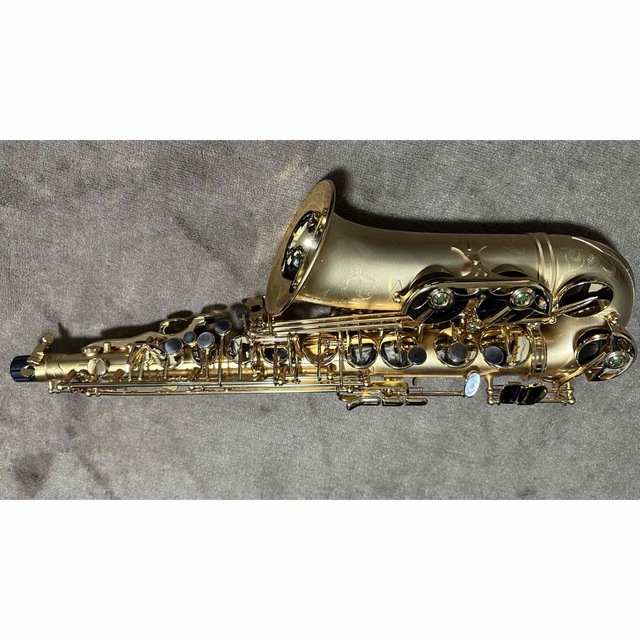 Cadson Alto Saxophone A902SG 楽器の管楽器(サックス)の商品写真