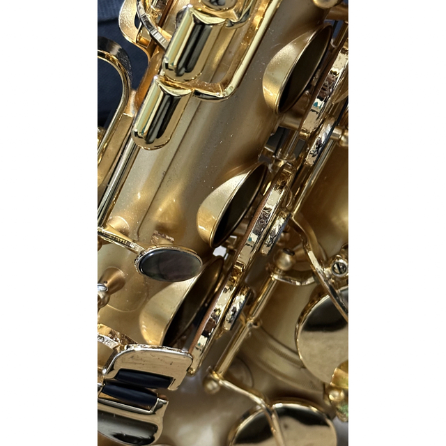 Cadson Alto Saxophone A902SG 楽器の管楽器(サックス)の商品写真