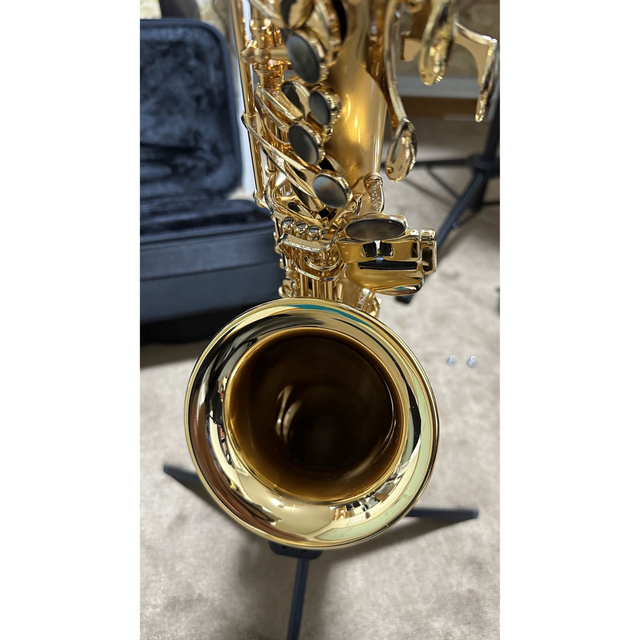 Cadson Alto Saxophone A902SG 楽器の管楽器(サックス)の商品写真