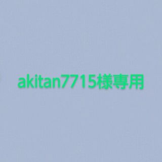 akitan7715様専用(その他)