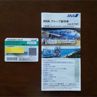 エーエヌエー(ゼンニッポンクウユ)(ANA(全日本空輸))のANA株主優待券1枚(その他)