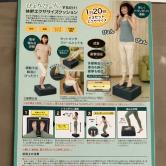 体幹ぴょんぴょんホップステッパー エンタメ/ホビーのエンタメ その他(その他)の商品写真