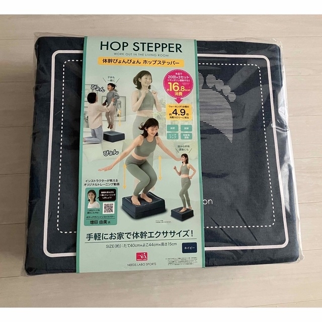 体幹ぴょんぴょんホップステッパー エンタメ/ホビーのエンタメ その他(その他)の商品写真